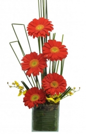 Ikebana de Gerberas