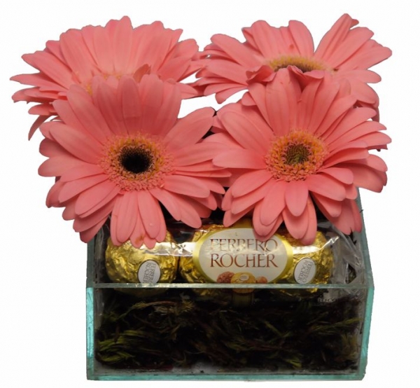 Gerberas e Tri Ferrero